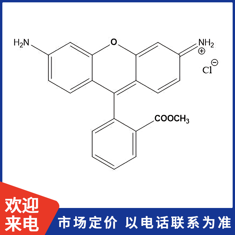 罗丹明-123.jpg