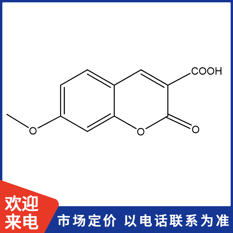 800X800模板.jpg 800X800模板.jpg