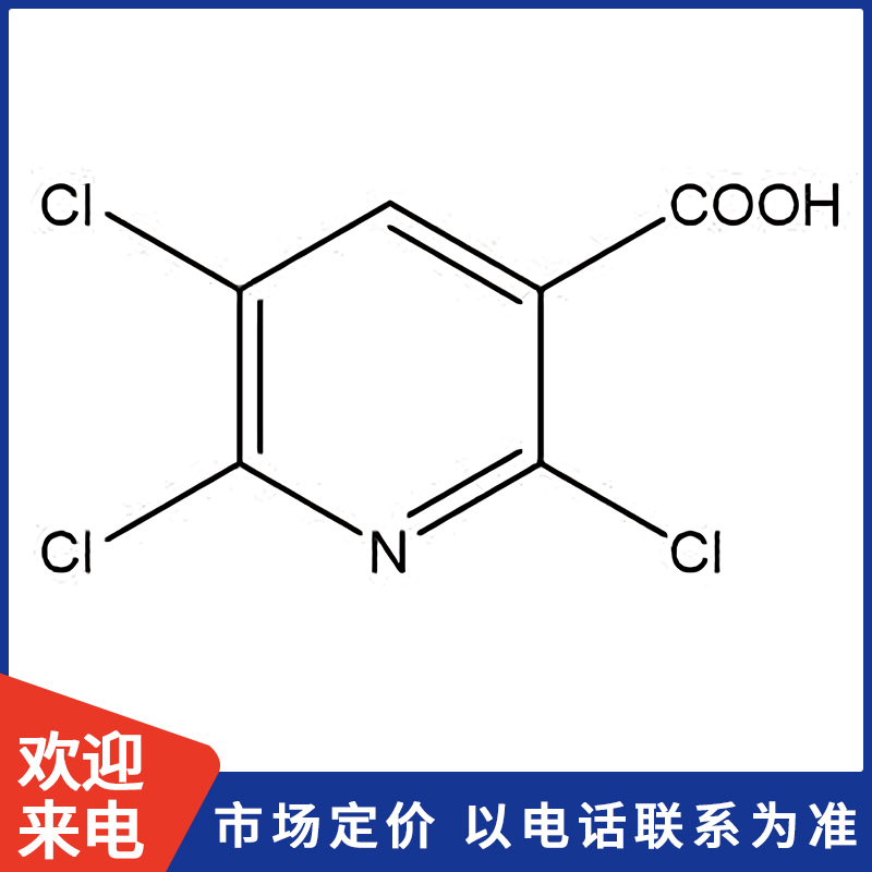 800X800模板.jpg 800X800模板.jpg