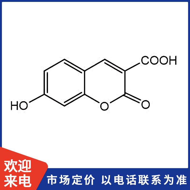 800X800模板.jpg