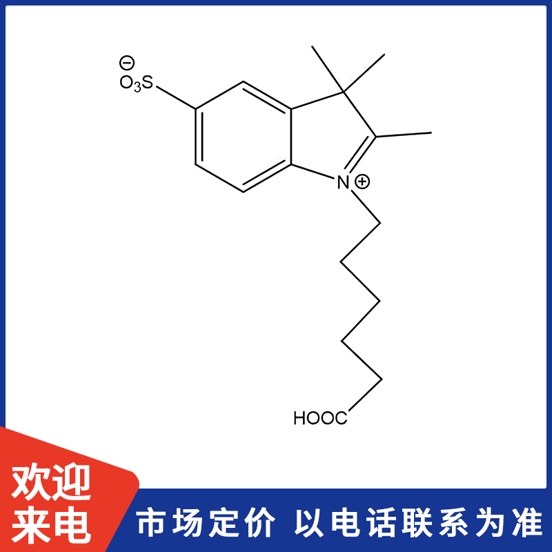 800X800模板.jpg